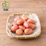 【旭耕】红皮土豆500g 自有农场 无农药无化肥 新鲜水果蔬菜