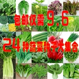 【天天特价】24种四季种植蔬菜种子套餐阳台盆栽种菜套餐菜籽包邮