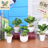 仿真花绿色植物小盆栽绿植盆景塑料绢花假花室内客厅办公室装饰花