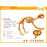 泰国考古恐龙进口儿童玩具挖掘化石骨架拼装模型diy手工益智包邮