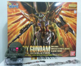 现货万代 EXPO 会场限定 MG 1/100 海涅命运高达 Destiny Gundam