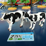 出口美国 奶牛 仿真动物农场模型儿童玩具动物园世界教学认识摆件