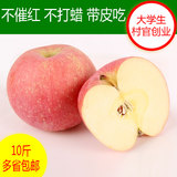 【大沙河旗舰店】新鲜苹果水果冰糖心红富士苹果10斤批发包邮吃的
