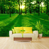 景墙纸3D立体无缝壁画自然风景客厅沙发墙布绿色阳光森林电视背