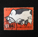 新中国纪特文革编号JT编年邮票集邮收藏 特40 养猪 5-4 信销