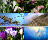 HD731 大自然冰雪融化 春天春暖花开一年四季 高清实拍视频素材