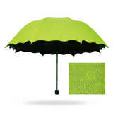 遇水开花晴雨伞防晒折叠太阳伞防紫外线黑胶遮阳伞见水就会出现