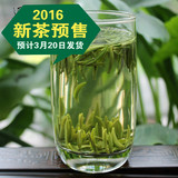 2016新茶预售 明前特级雀舌茶叶 四川蒙顶山绿茶蒙顶山茶春茶200g