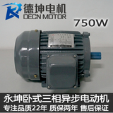 台湾永坤三相异步电动机750W卧式B3三相220V/380V/标准80框电动机