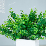 红艺坊【大号尤加利】人造仿真植物绿植树叶子软塑料植物墙装饰