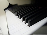 钢琴电子琴入门视频教程教程 提高教程自学教程