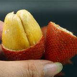 泰国 蛇皮果 新鲜进口水果 特产 5斤装 坏果包赔 中通航空包邮