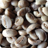 2016新豆 云南商用AA级卡蒂姆咖啡生豆 两次首选17目水洗处理批发