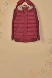 2015冬装女韩版新款修身显瘦保暖加厚短款长袖棉衣羽绒服潮S4237