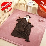 家用地垫地毯瑜伽垫 宝宝爬行垫珊瑚绒榻榻米门垫可定制 地毯客厅