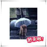 狗狗雨伞宠物雨伞 泰迪比熊小型犬小狗宠物雨衣雨披用品 带狗链子