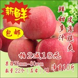 陕西省新鲜水果红富士苹果10斤PK山东栖霞洛川红富士果园直发包邮