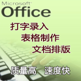 word/excel文字录入排版专业打字服务录音表格图表公式试卷排版