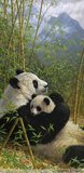 欧式 古典写实 动物油画《熊猫》风景 花卉 人体装饰画 大型壁画