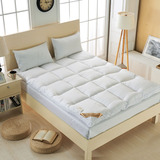 南方寝饰床品羽绒床垫可定做多规格床垫可折叠1.2/1.5/0.9床包邮