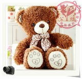 包邮50/60/80cm毛绒玩具熊CK熊泰迪熊抱抱熊布娃娃蝴蝶结大熊生日