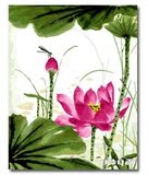 自油自画数字油画正品  DIY手绘中国风装饰画客厅摆设挂件花卉 荷