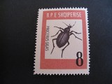 阿尔巴尼亚1963-大甲虫1枚新筋票(MNH)