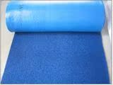 加厚 3A塑料PVC喷丝 防滑地垫 蹭土垫 入户垫 走廊满铺地毯 蓝色