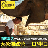 清迈夏天woody伍迪骑大象营泰国旅游情侣家庭亲子ATV漂流保护营