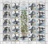 塞尔维亚2011年发行WWF-518熊猫徽邮票鸟类侏鸬鹚4全5套版