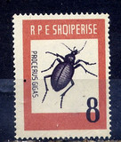 阿尔巴尼亚1963，昆虫  8l 1枚新 贴票