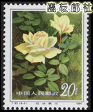 特种邮票 T93 月季花 6-5 T字头邮票 散票
