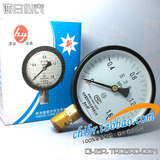 Y-100 0-1.6MPA 气压表 水压表  普通压力表 杭州富阳华仪仪表