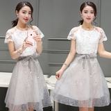 连衣裙女 夏季韩版时尚修身显瘦套装裙网纱中长款短袖蕾丝两件套