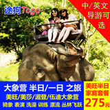 泰国旅游清迈美莎美沙湄登美旺骑大象营表演洗澡丛林飞跃半日一日