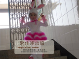 儿童兔气扬眉舞蹈演出服装 少儿民族舞蹈大赛表演 小白兔角色服装