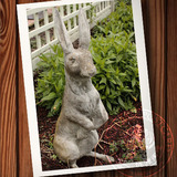 《园林石头兔子》复活节生肖卯兔卡片旅行风景PC明信片