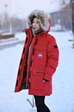 Canada Goose 加拿大鹅 Expedition Parka 红色 加厚防风羽绒服