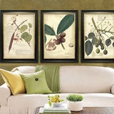 植物标本画美式客厅装饰画沙发背景墙餐厅挂画欧式简约卧室墙壁画
