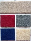 盼盼家居  满铺地毯(加厚弯头纱地毯)多种颜色 特价！