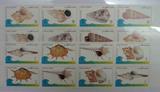 卡塔尔 1995年 海螺 8全新  图为2套邮票