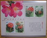 2000-24  君子兰小全张小型张 邮票 收藏集邮