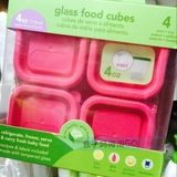 正品授权破损包赔  新版美国Green sprouts小绿芽婴儿玻璃辅食盒