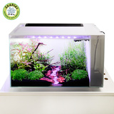 鱼缸 水族箱小型真水草造景阿诺比加宽桌面创意超白玻璃生态鱼缸
