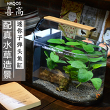 Haqos喜高 子弹头创意小鱼缸 办公桌面生态水族箱 造景水草缸
