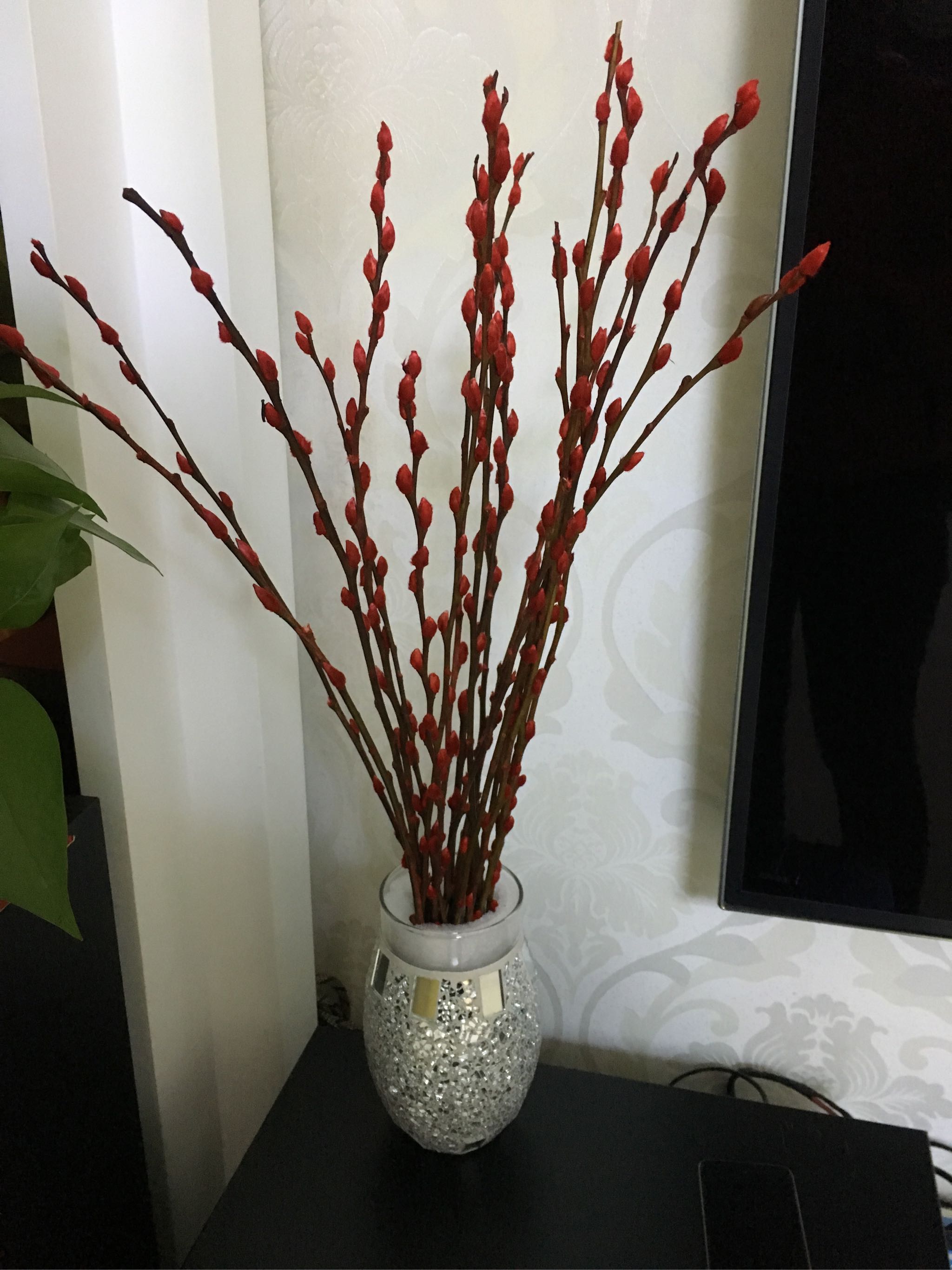 银柳真花鲜枝银柳干花福桶水培花卉植物室内鲜花春节年宵装饰