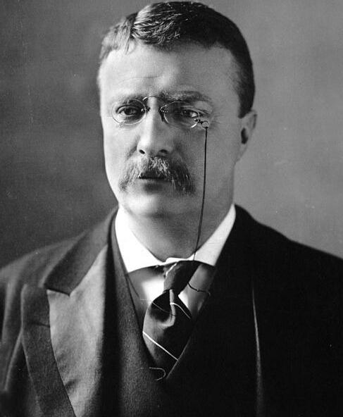 美国前总统 theodore roosevelt