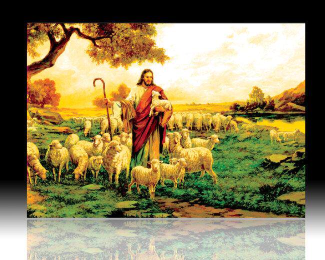 森林柏杨54淘宝天猫店铺牧羊人高尔夫销售促销成交分析