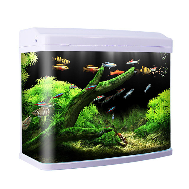 闽江生态玻璃鱼缸60cm水族箱