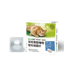 cat medical supplies